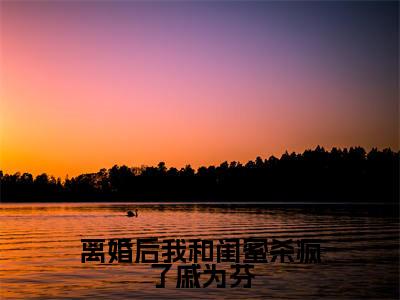离婚后我和闺蜜杀疯了戚为芬(戚为芬)全文免费阅读无弹窗大结局_戚为芬小说全文无弹窗