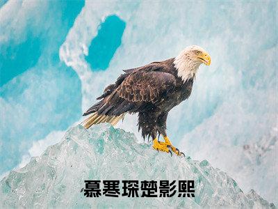 楚影熙慕寒琛小说-《慕寒琛楚影熙》完整章节阅读无弹窗免费阅读大结局
