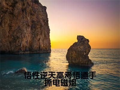 悟性逆天高考悟道手撕电磁炮（苏勤精彩美文）免费阅读-小说苏勤最后结局如何