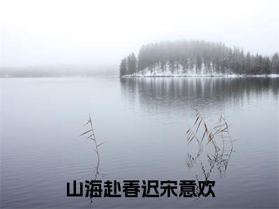 傅祈年宋意欢是什么小说-(山海赴春迟宋意欢全文阅读)最新章节列表(番外)+(全文)
