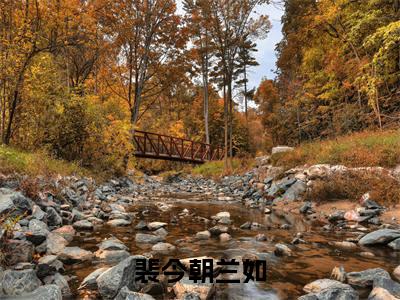 裴今朝兰如小说全文免费阅读_（兰如裴今朝）裴今朝兰如完结版在线阅读最新章节列表笔趣阁