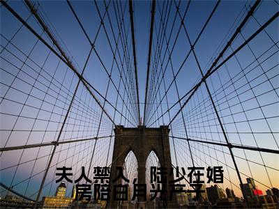 小说(夫人禁入,陆少在婚房陪白月光产子)乔茵陆一函全文阅读-夫人禁入,陆少在婚房陪白月光产子(乔茵陆一函)老书虫书荒推荐热点小说