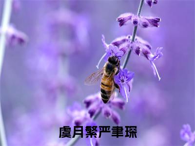虞月繁严聿琛(虞月繁严聿琛)全文小说-虞月繁严聿琛小说最新章节免费阅读