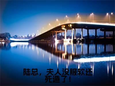 陆总,夫人没服软还死遁了!陆铮沈沐漓免费阅读无弹窗最新章节列表-(陆总,夫人没服软还死遁了!)陆铮沈沐漓全文免费阅读大结局笔趣阁