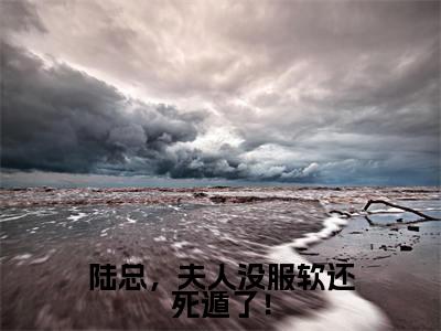 陆总，夫人没服软还死遁了！全文最新章节（陆铮沈沐漓）全文免费阅读无弹窗大结局_陆铮沈沐漓免费阅读