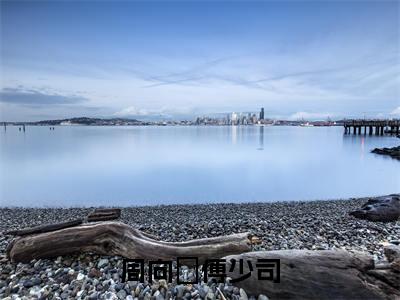 周向姮傅少司（周向姮傅少司）全集免费阅读无弹窗_周向姮傅少司正版小说免费阅读
