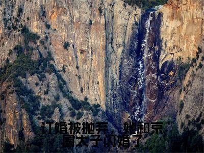 订婚被抛弃,她和京圈太子闪婚了(简瑶顾知衍)最火婚恋小说-(简瑶顾知衍)全文免费阅读笔趣阁