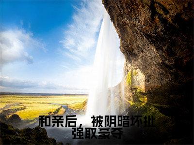 萧持盈全文免费阅读大结局-和亲后，被阴暗坏批强取豪夺完整版无弹窗