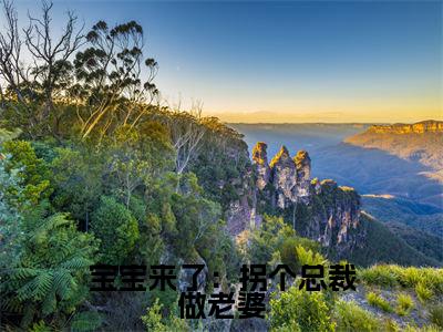 宝宝来了:拐个总裁做老婆乔安然程昱颂小说免费阅读-宝宝来了:拐个总裁做老婆抖音新书热荐