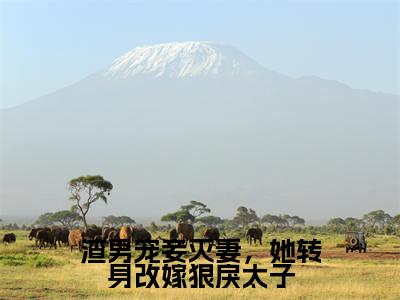 楚晚棠小说(渣男宠妾灭妻,她转身改嫁狠戾太子)全文免费阅读-楚晚棠精彩章节在线阅读