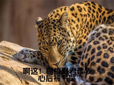 啊这!疯批暴君读我心后被气哭(啾啾)全文免费阅读无弹窗大结局_(啊这!疯批暴君读我心后被气哭)啾啾免费阅读无弹窗最新章节列表