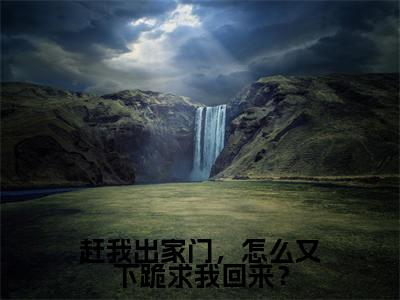 赶我出家门,怎么又下跪求我回来?全文免费阅读无弹窗大结局_赶我出家门,怎么又下跪求我回来?(陆青云)小说结局免费阅读(陆青云)