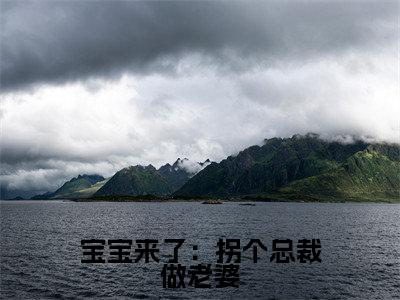 宝宝来了：拐个总裁做老婆（乔安然程昱颂）全文免费阅读无弹窗大结局_宝宝来了：拐个总裁做老婆全文免费阅读最新章节列表
