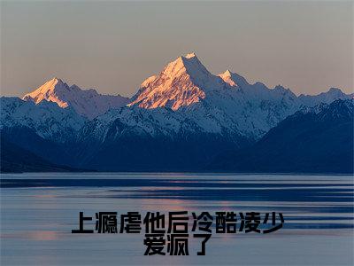 上瘾虐他后冷酷凌少爱疯了无广告小说（苏晨凌之奕）全文免费阅读无弹窗大结局-上瘾虐他后冷酷凌少爱疯了在线阅读