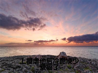 苏晨凌之奕小说全文-上瘾虐他后冷酷凌少爱疯了精选小说苏晨凌之奕大结局阅读