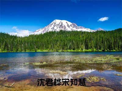 沈君桦宋知慧是什么小说-宋知慧沈君桦免费小说在线阅读