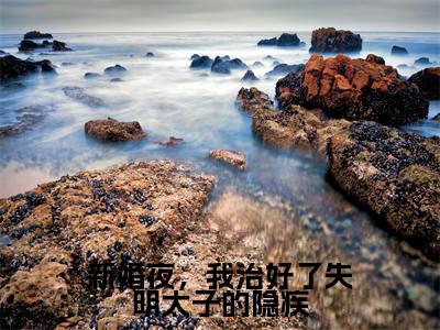 黎语颜夜翊珩（新婚夜，我治好了失明太子的隐疾）全文免费阅读无弹窗大结局_黎语颜夜翊珩免费阅读最新章节列表_笔趣阁