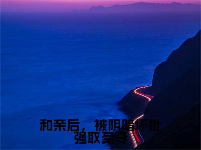 萧持盈小说（和亲后，被阴暗坏批强取豪夺）免费阅读_萧持盈小说免费阅读-笔趣阁