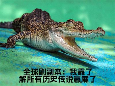 全球刷副本：我靠了解所有历史传说赢麻了小说全文免费阅读无弹窗-（林乐悠阅读无弹窗）穿越小说免费阅读_笔趣阁