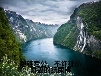 超雄老公,不许扯小娇妻的纸尿裤(厉夜霆阮萌萌全章节完整版)免费阅读_超雄老公,不许扯小娇妻的纸尿裤(厉夜霆阮萌萌)最新章节列表笔趣阁