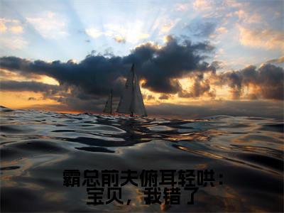 霸总前夫俯耳轻哄:宝贝,我错了(赵沐凌林可黎)全文免费阅读无弹窗大结局_霸总前夫俯耳轻哄:宝贝,我错了免费阅读无弹窗最新章节列表