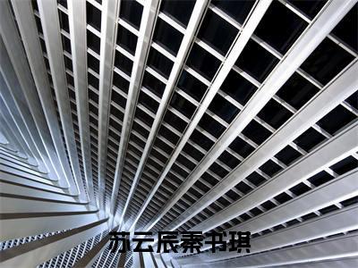 苏云辰秦书琪:秦书琪苏云辰全文免费阅读无弹窗大结局_苏云辰秦书琪:秦书琪苏云辰免费阅读