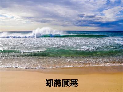 郑薇顾寒全文(顾寒郑薇)全文免费阅读无弹窗大结局_郑薇顾寒全文最新章节列表_笔趣阁(顾寒郑薇)