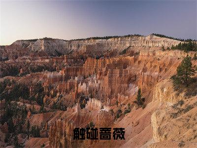 热门小说林筱帆浦应辛触碰蔷薇全文免费阅读无弹窗大结局-林筱帆浦应辛全文无弹窗免费阅读大结局