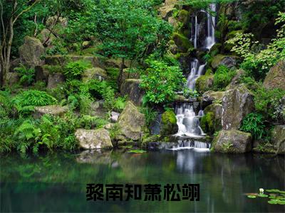 萧松翊黎南知（黎南知萧松翊）全文免费阅读无弹窗大结局_萧松翊黎南知小说全文大结局
