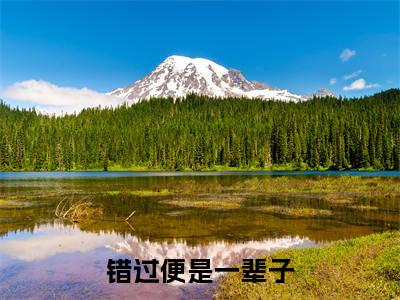 错过便是一辈子无广告免费阅读-小说段黎沈啸铭最后结局如何