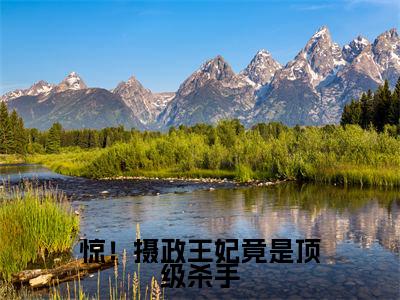 楚芊予墨奕南（惊！摄政王妃竟是顶级杀手小说）全文免费阅读无弹窗大结局_（楚芊予墨奕南）惊！摄政王妃竟是顶级杀手小说最新章节列表