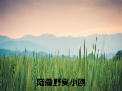 陆森野夏小鸥（夏小鸥陆森野）免费小说-夏小鸥陆森野（陆森野夏小鸥）全文精彩章节阅读-笔趣阁