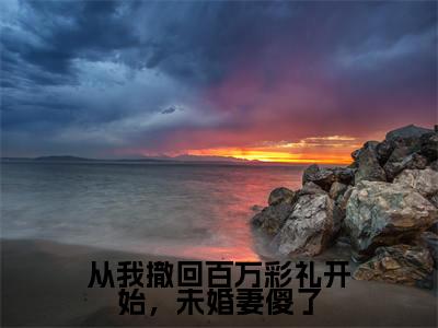 从我撤回百万彩礼开始,未婚妻傻了小说(杨宇全文完整版免费阅读)_从我撤回百万彩礼开始,未婚妻傻了小说免费最新章节列表_笔趣阁