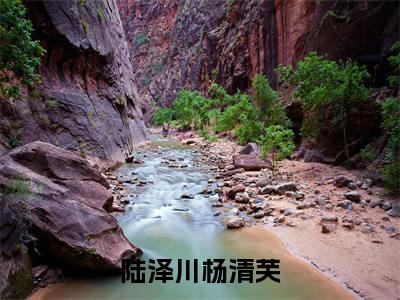 陆泽川杨清芙小说无弹窗(杨清芙陆泽川)全文免费阅读无弹窗大结局_杨清芙陆泽川最新章节列表_笔趣阁