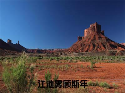 江池雾顾斯年(顾斯年江池雾)免费阅读无弹窗大结局_江池雾顾斯年小说(顾斯年江池雾)免费阅读最新章节列表