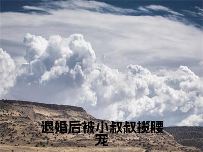 阮荔傅淮洲(退婚后被小叔叔揽腰宠)全文免费阅读无弹窗大结局_(阮荔傅淮洲全文阅读)退婚后被小叔叔揽腰宠无弹窗最新章节列表