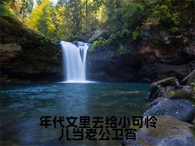 年代文里去给小可怜儿当老公卫宵卫宵最新章节免费阅读卫宵小说最新章节