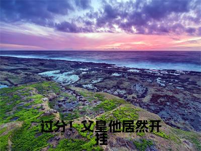 过分!父皇他居然开挂(云舒)小说免费下载全本-过分!父皇他居然开挂(云舒完整版)免费阅读无弹窗