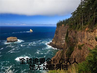 全球追妻令！小夫人她无处藏身啦（大结局小说全集完整版）云栀意厉阈野小说_全球追妻令！小夫人她无处藏身啦全文阅读笔趣阁（后续）+（全文）