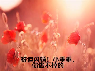 被迫闪婚!小乖乖,你逃不掉的墨寒霆盛夏全文免费阅读无弹窗大结局_墨寒霆盛夏(被迫闪婚!小乖乖,你逃不掉的)全文阅读_笔趣阁
