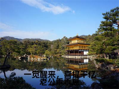 一觉醒来，喜提千亿老公乖乖崽（温筱江淮）全文完整版免费阅读-主角叫温筱江淮的小说一觉醒来，喜提千亿老公乖乖崽