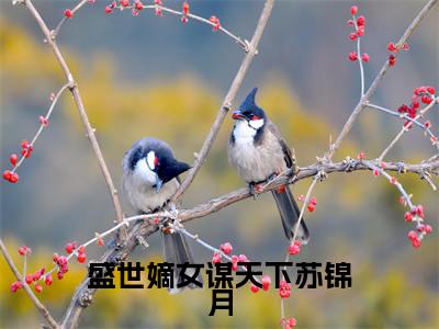盛世嫡女谋天下苏锦月小说(苏锦月)全文免费阅读无弹窗大结局_盛世嫡女谋天下苏锦月完整版最新阅读_笔趣阁(苏锦月)