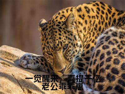 温筱江淮全文免费免费阅读无弹窗最新章节列表_笔趣阁(一觉醒来,喜提千亿老公乖乖崽全文免费)