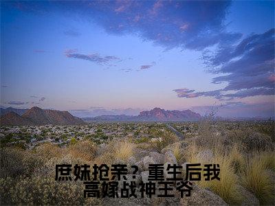 【新书】《庶妹抢亲？重生后我高嫁战神王爷》全文免费阅读无弹窗大结局-墨严晨许流光全章节免费阅读