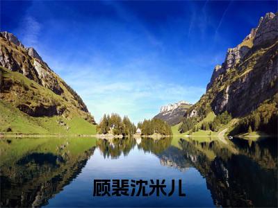 小说《顾裴沈米儿》全文免费阅读无弹窗-顾裴沈米儿（沈米儿顾裴）小说全文在线赏析_笔趣阁