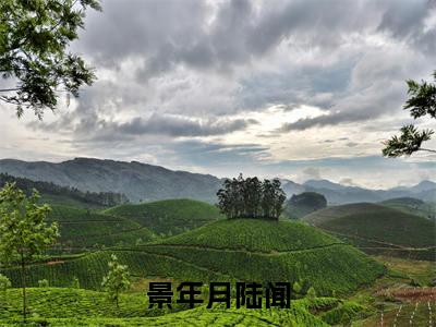 陆闻景年月（景年月陆闻）全文免费阅读无弹窗大结局_景年月陆闻全文在线阅读