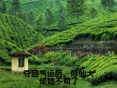 夺回气运后,修仙大佬她不苟了全文免费阅读无弹窗-(沈云翎)夺回气运后,修仙大佬她不苟了最新章节列表在线阅读