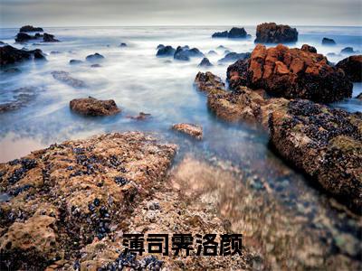 薄司霁洛颜(薄司霁洛颜)全文免费阅读无弹窗_薄司霁洛颜小说_笔趣阁