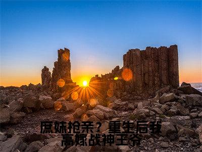 墨严晨许流光全文免费阅读无弹窗(庶妹抢亲?重生后我高嫁战神王爷)小说-墨严晨许流光小说免费阅读