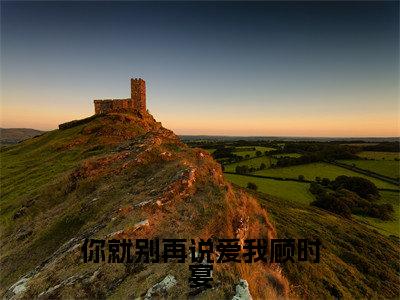 孟染顾时宴小说（你就别再说爱我顾时宴）全文免费阅读无弹窗大结局_孟染顾时宴小说最新章节列表_笔趣阁